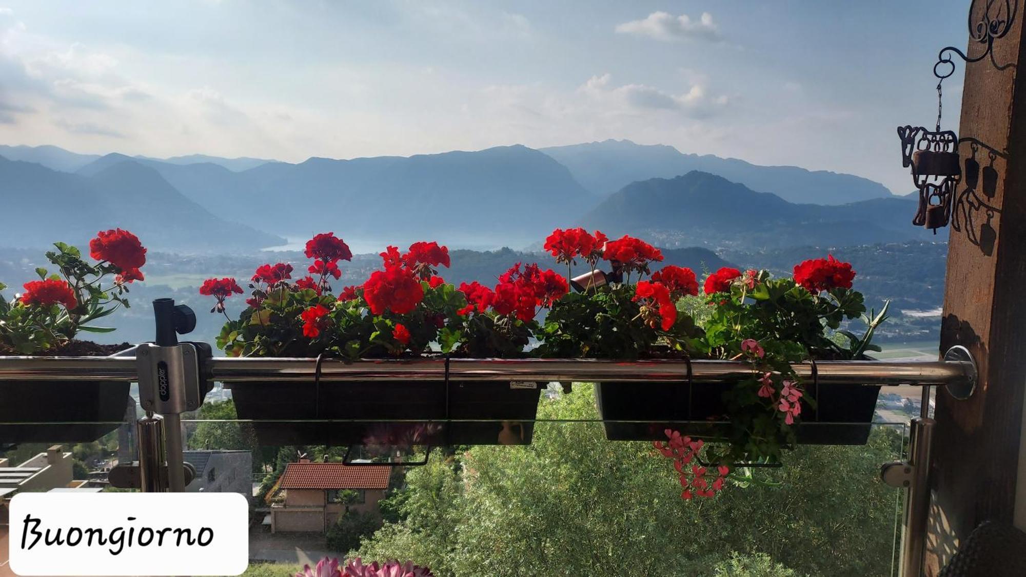 Apartment Entire With Stunning View